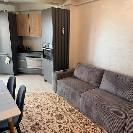 Apartament La Ion 2 *